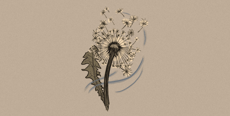 Make a True Wish: Manifestation 101