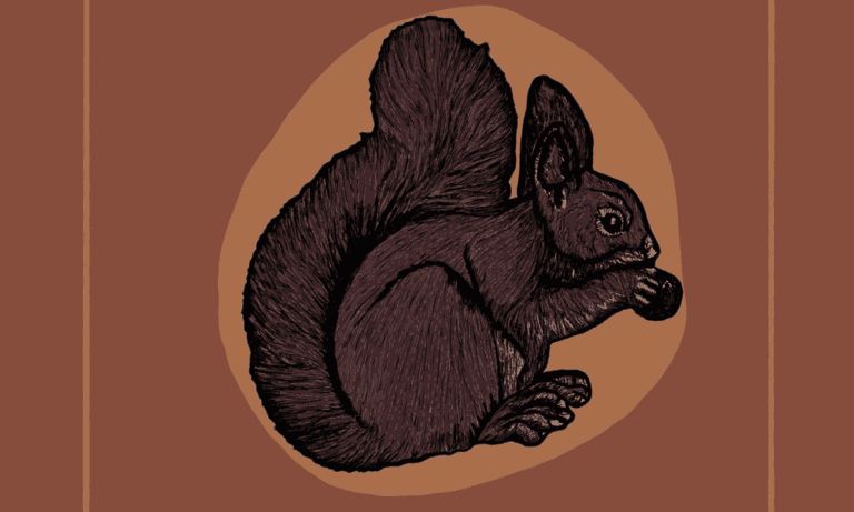 Squirrel Spiritual Meanings & A Lover of Yggdrasil