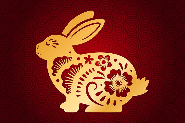 Chinese New Year of the Rabbit: A Look at Traditions and Celebrations