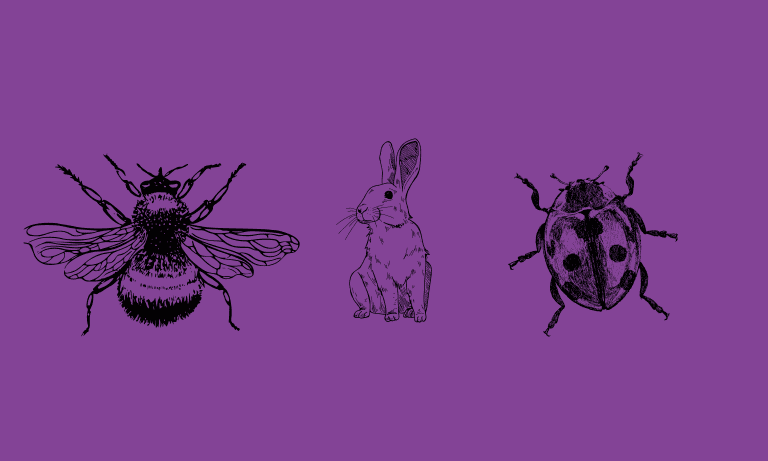 Witches’ Familiar: Bee, Ladybug and Bunny