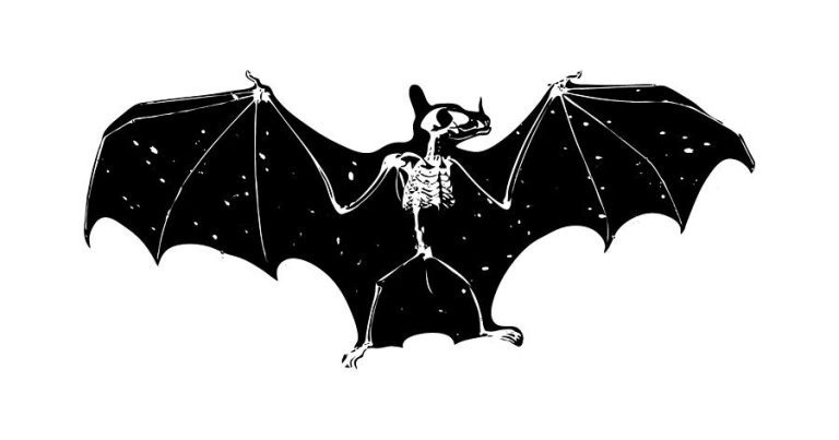 Into the Velvet Dark: Meaning of Bats in Dreams