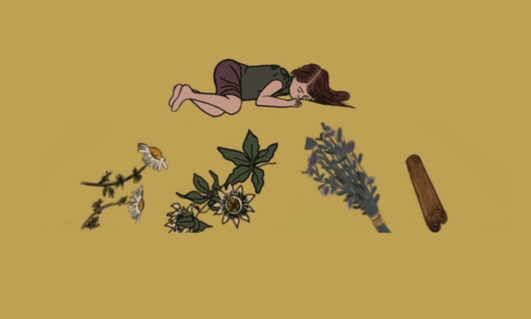 Into the Dream Realms: Herbs for Sleep