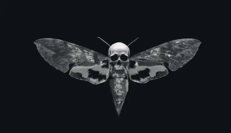 Death Moth Meaning: A Symbol of Mystery
