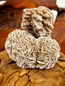 Desert Rose: Meaning, Healing Properties, and Powers