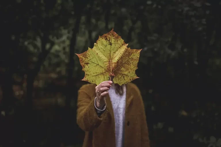 Autumn Alchemy: How To Embrace Fall Vibes