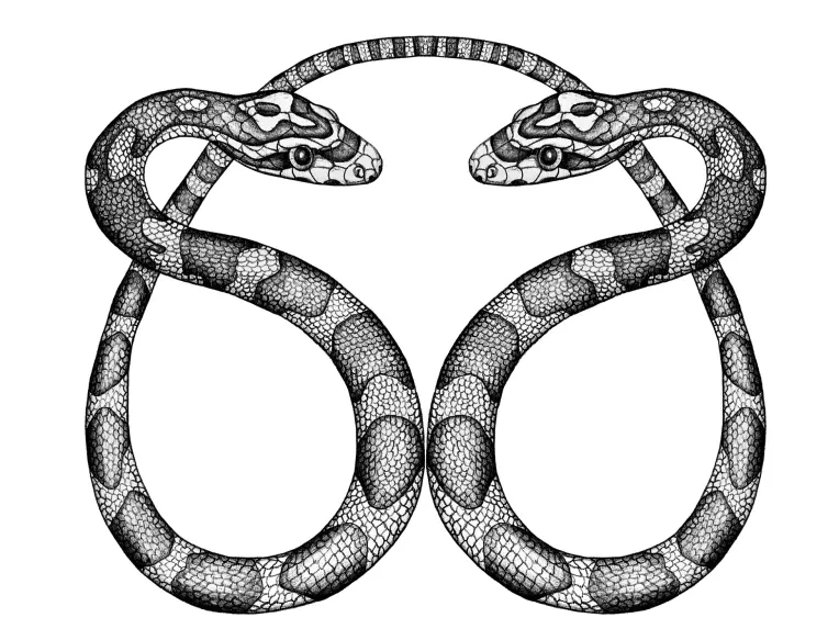 Snake Symbolism: The Serpent’s Role in Mythology