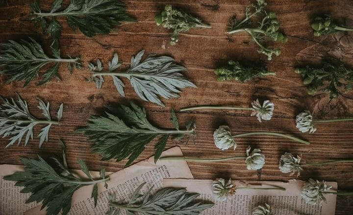 Essential Oils: A Guide to Natural Wellness