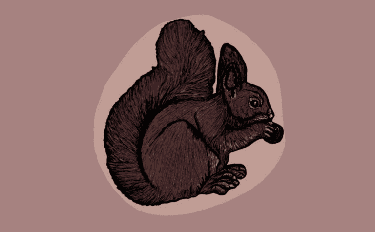The Spiritual Meaning of a Squirrel Crossing Your Path