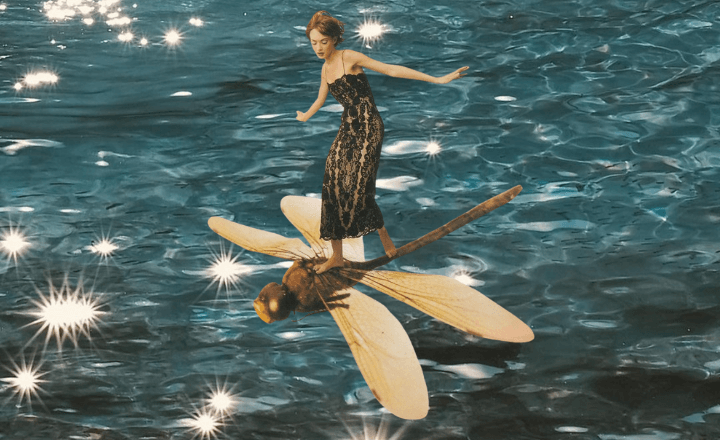 Dance with Dragonflies: Spiritual Meaning & Symbolism