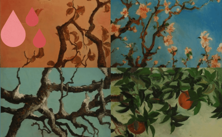 Mensturation Cycle and Its Four Seasons: Connection Between Women and Nature