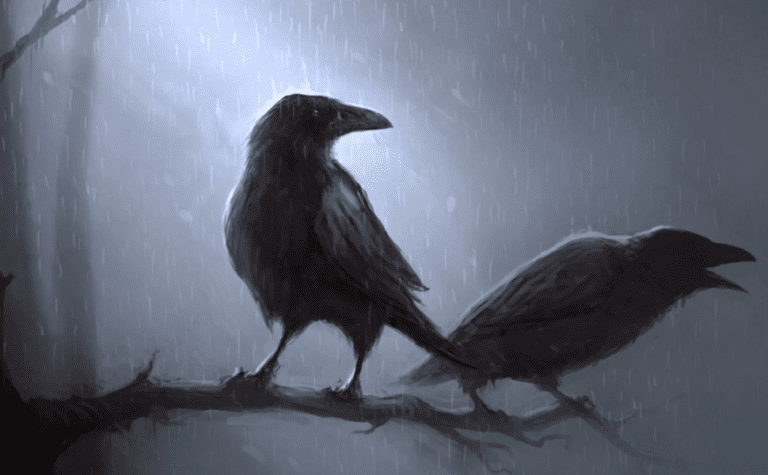 Raven Lore: From Odin to Poe