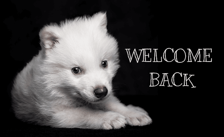 Dire Wolf Return: From Ancient Myths to Modern Labs