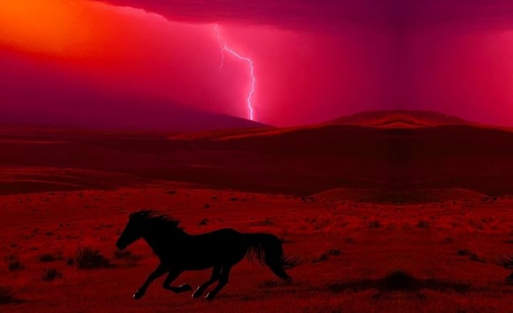 2026 The Year of the Fire Horse: Born of Flame and Speed